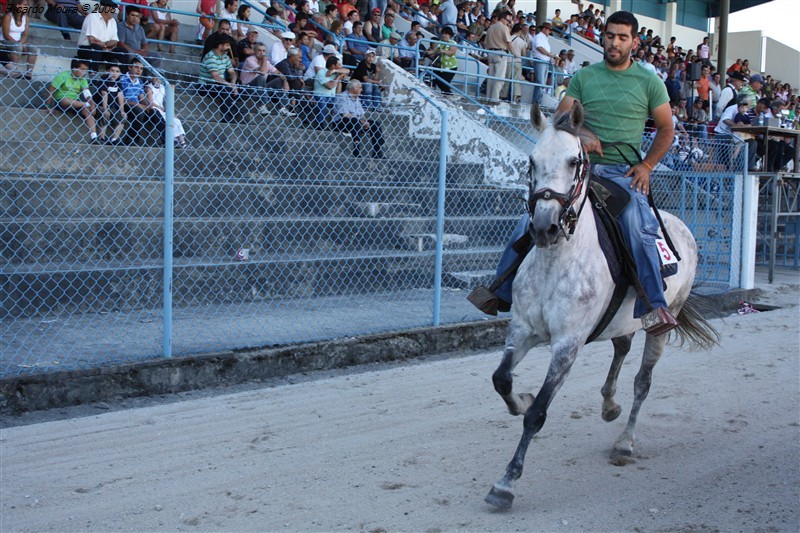 Corrida de cavalos em Montalegre