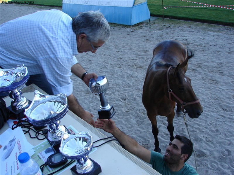 Corrida de cavalos em Montalegre