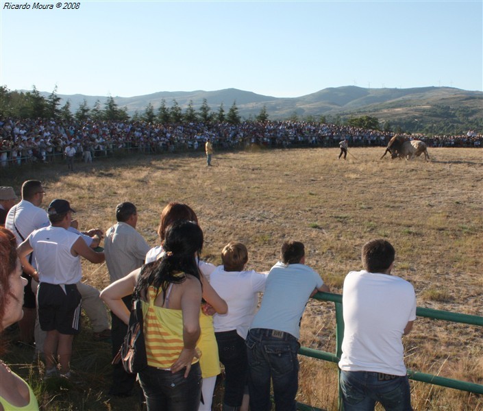 Festa do Senhor da Piedade