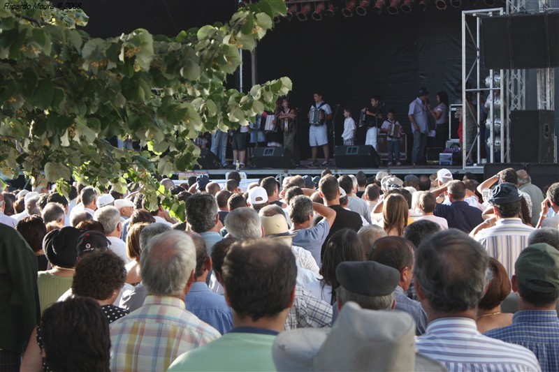 Sucesso na concentração de concertinas