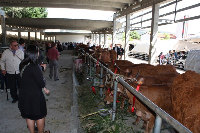 Feira do prémio em Montalegre