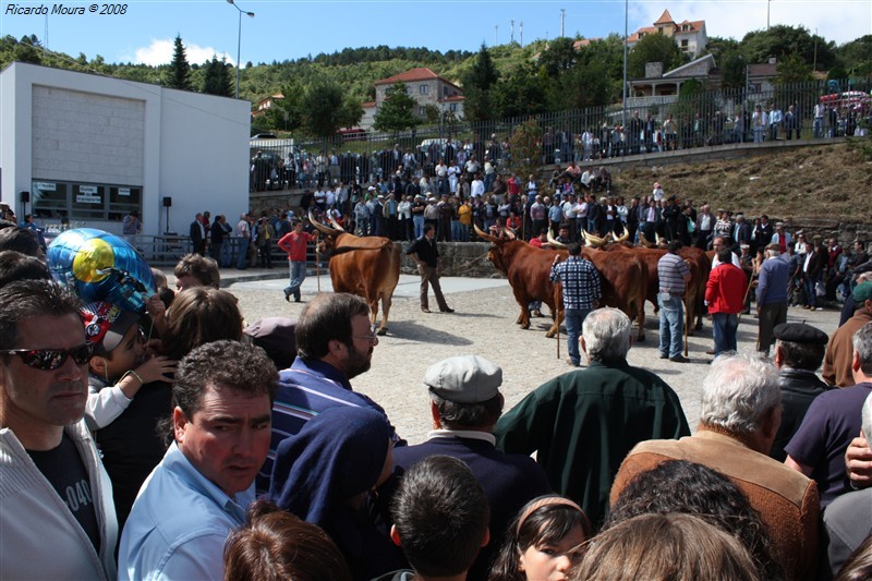 Feira do prémio em Montalegre