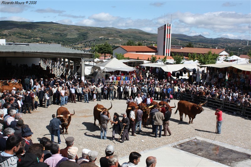 Feira do prémio em Montalegre