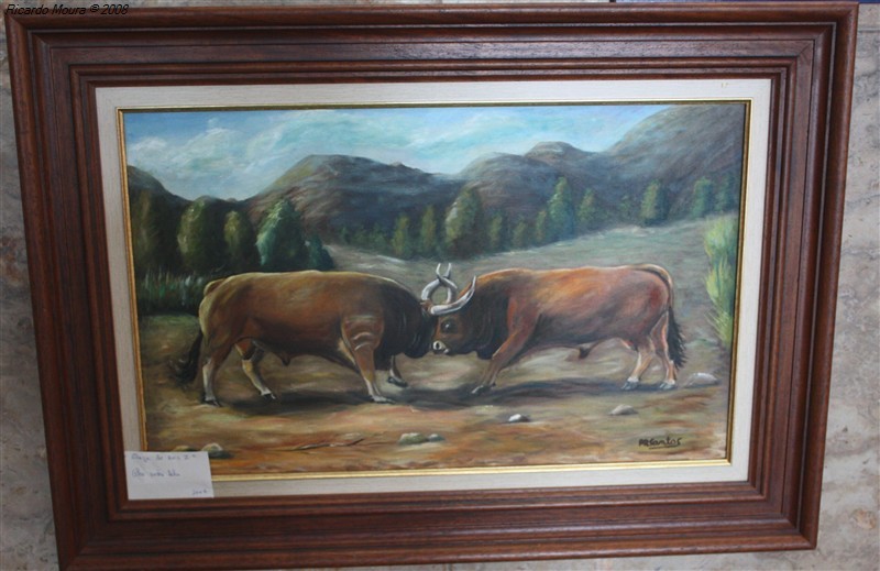 Exposição de Amélia Santos