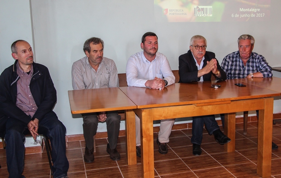 "Vespa das galhas do castanheiro"