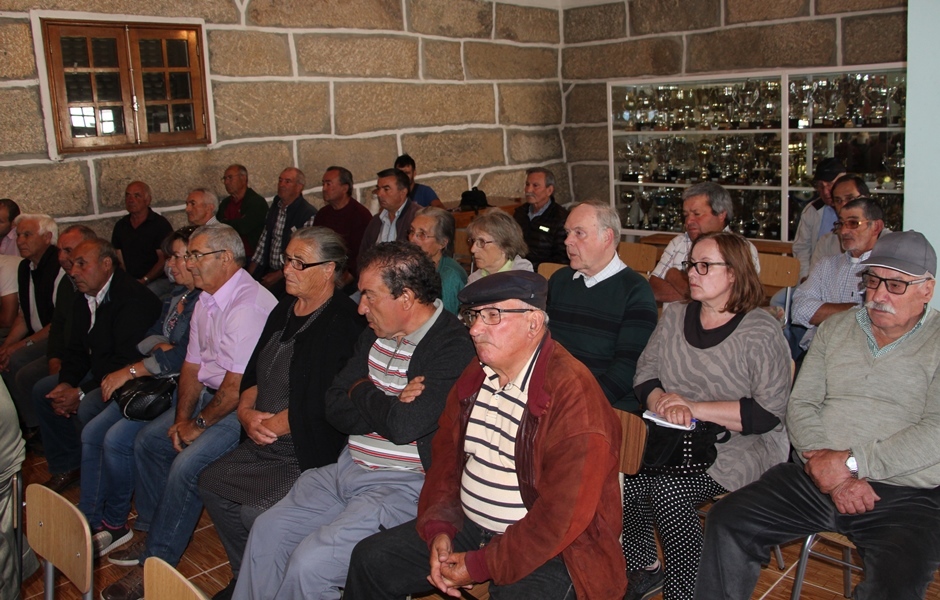 "Vespa das galhas do castanheiro"