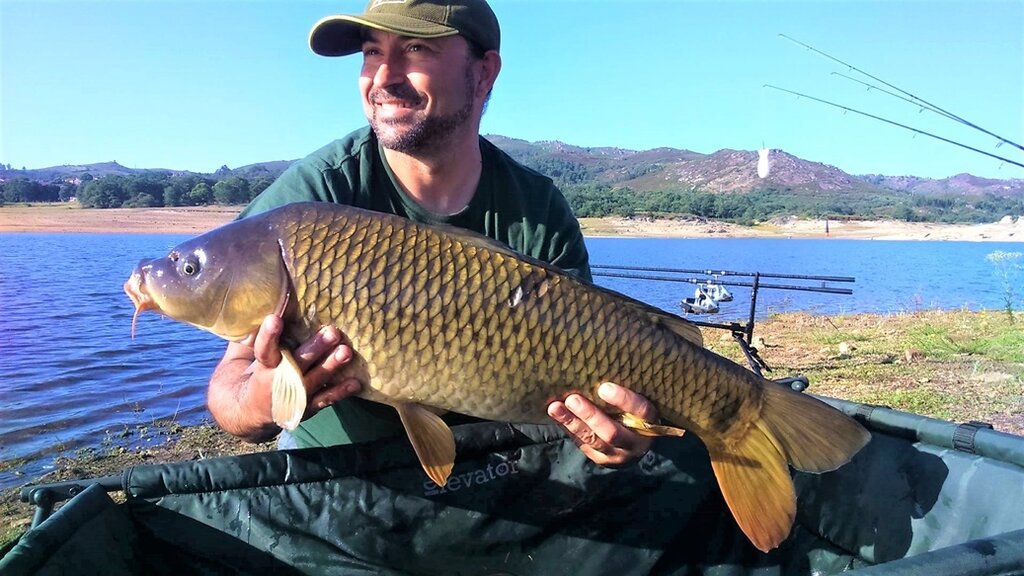 III &quot;Pisões Carp Classic&quot;