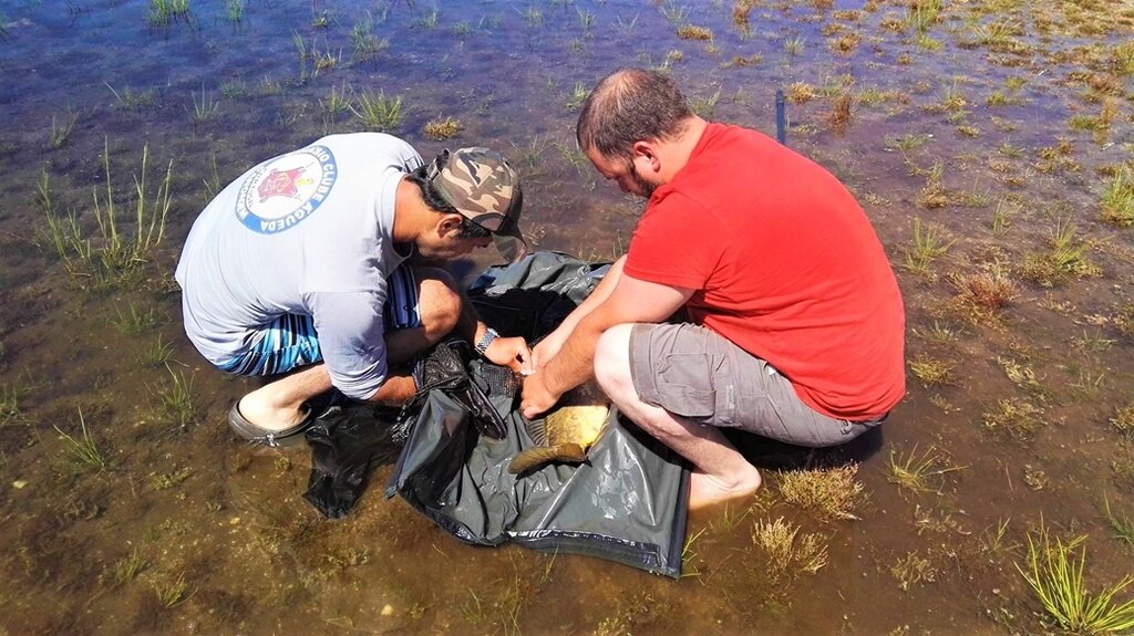 III "Pisões Carp Classic"