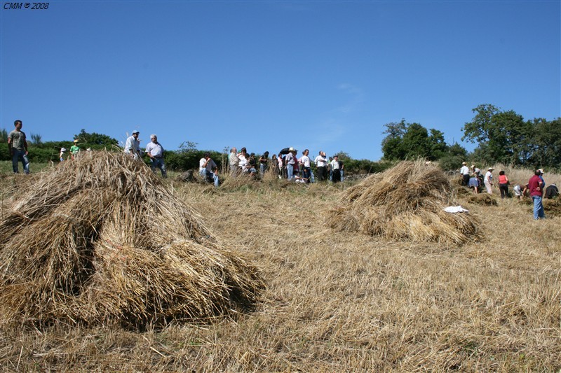 Segada e Malhada em Paredes