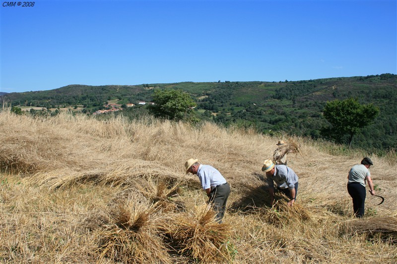 Segada e Malhada em Paredes