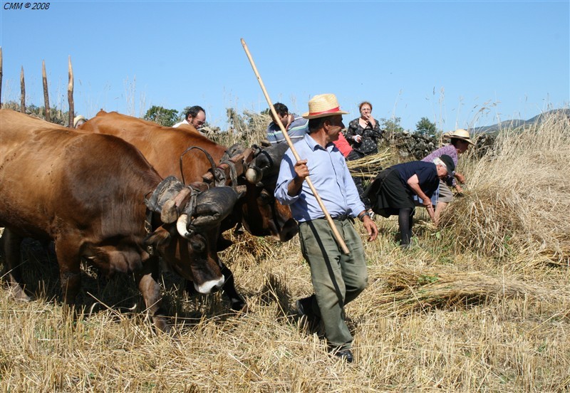 Segada e Malhada em Paredes