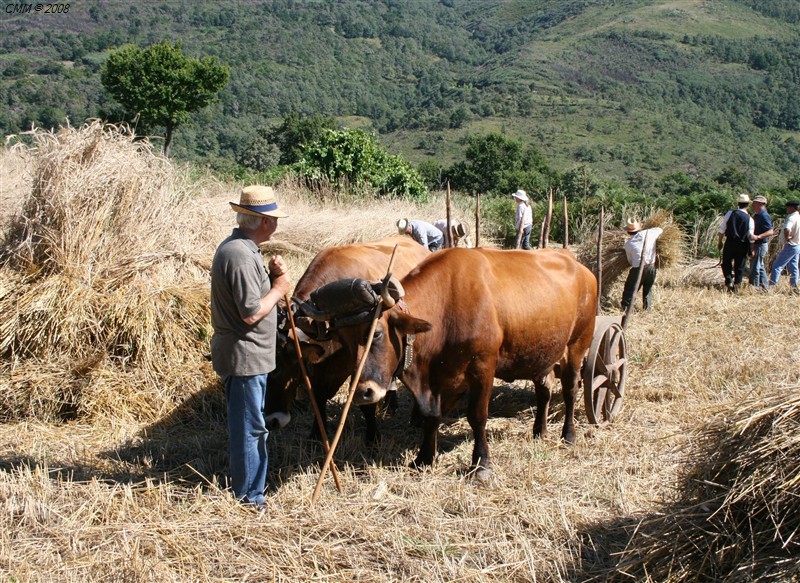 Segada e Malhada em Paredes