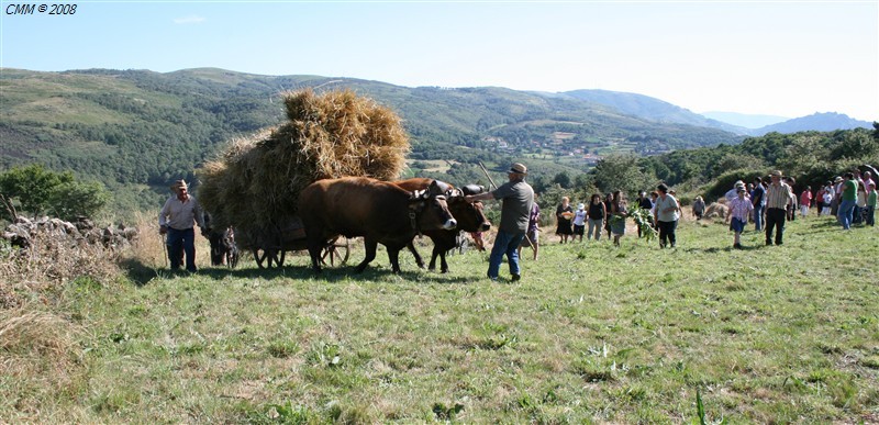 Segada e Malhada em Paredes