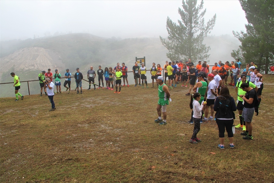 I "Wolfram Trail Borralha"