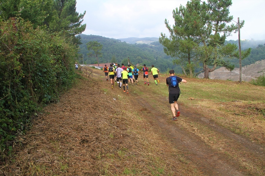 I "Wolfram Trail Borralha"