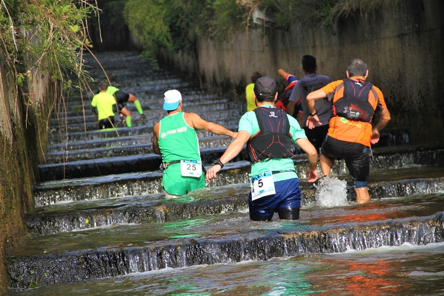 I "Wolfram Trail Borralha"