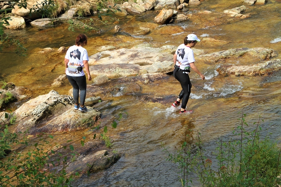 I "Wolfram Trail Borralha"