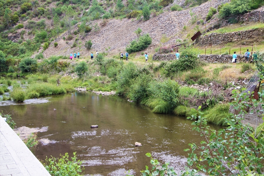 I "Wolfram Trail Borralha"
