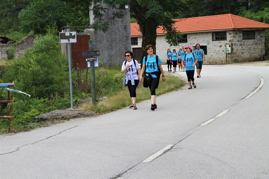 I "Wolfram Trail Borralha"