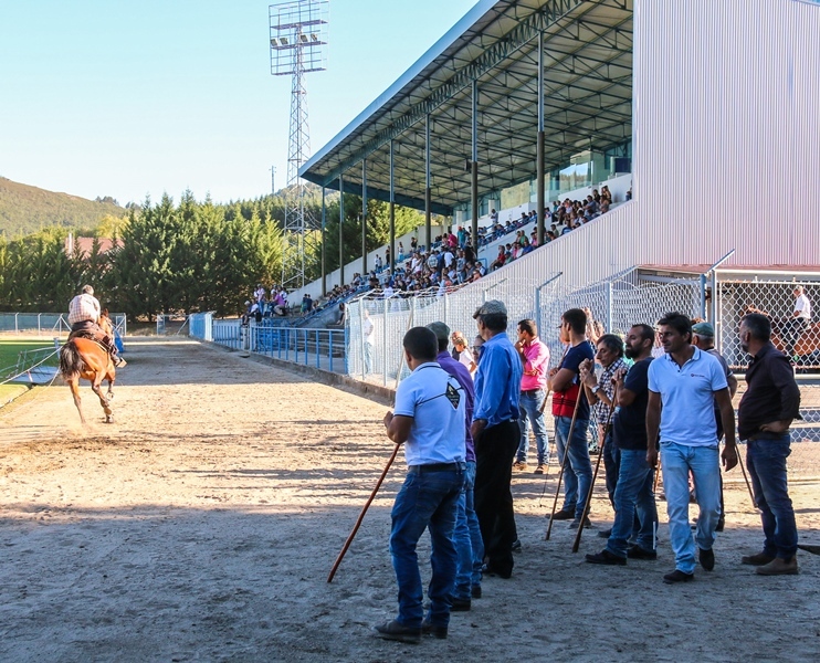 Montalegre | "Corrida de Cavalos" 2017