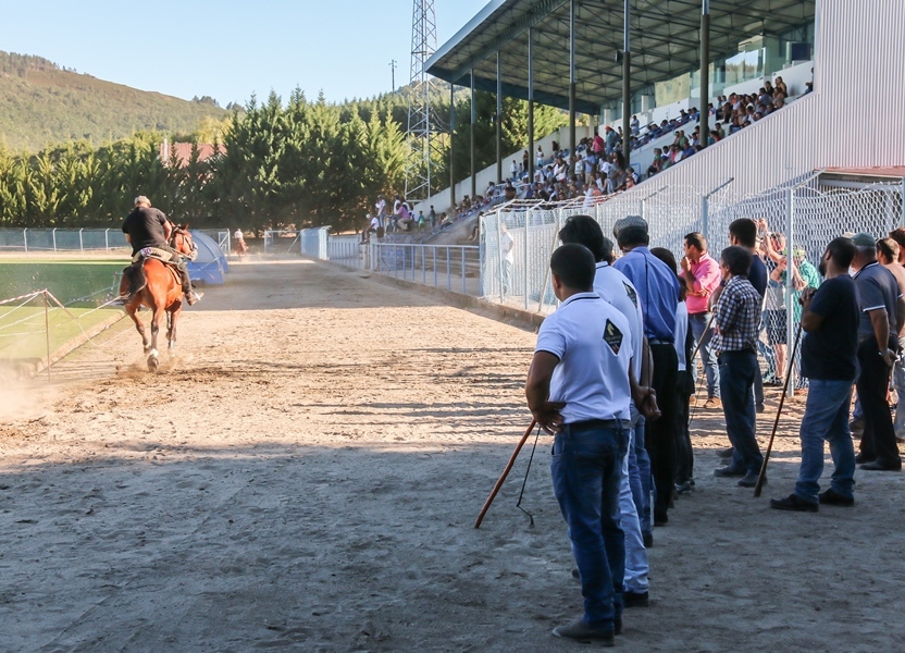 Montalegre | "Corrida de Cavalos" 2017
