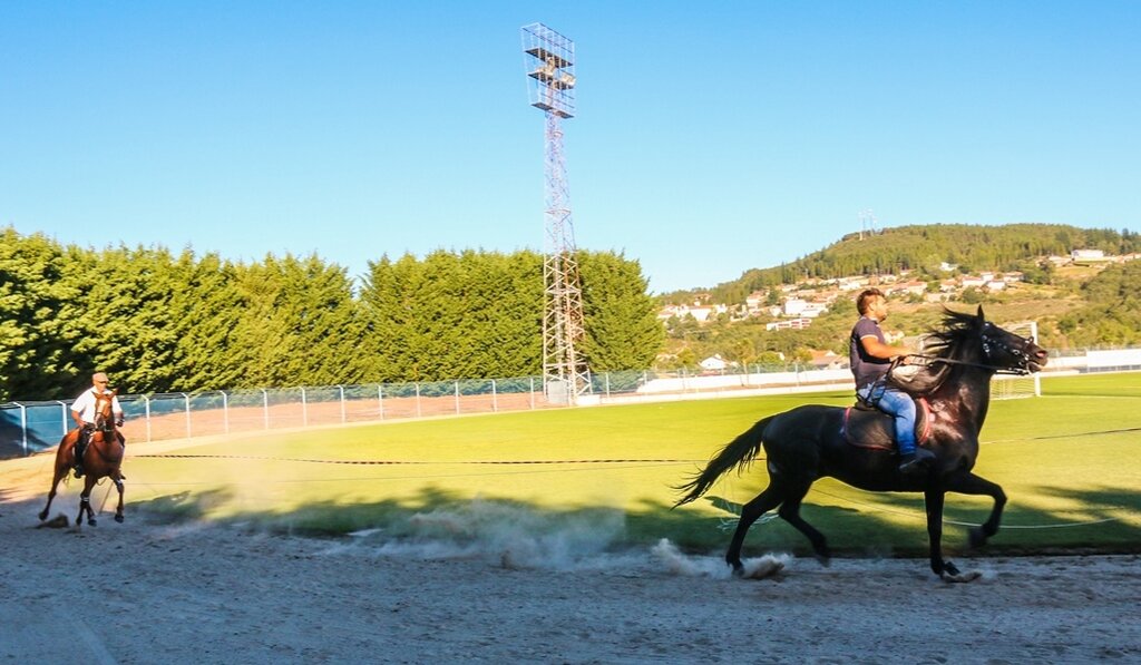 Montalegre | "Corrida de Cavalos" 2017
