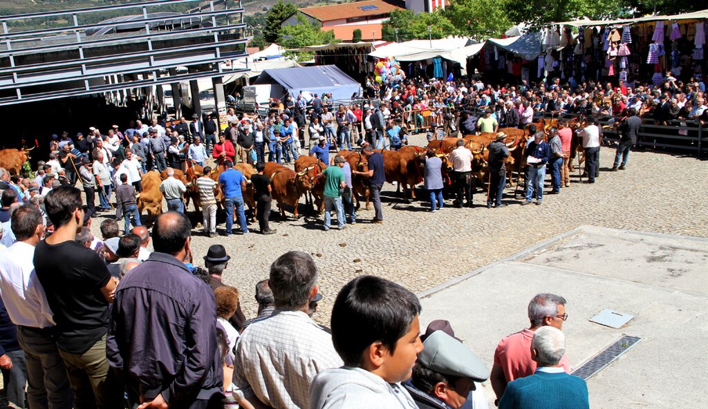 Montalegre | "Feira do Prémio" 2017