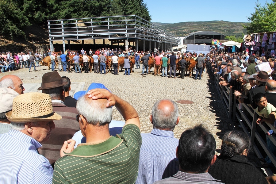 Montalegre | "Feira do Prémio" 2017