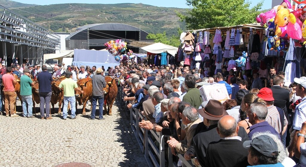 Montalegre | "Feira do Prémio" 2017