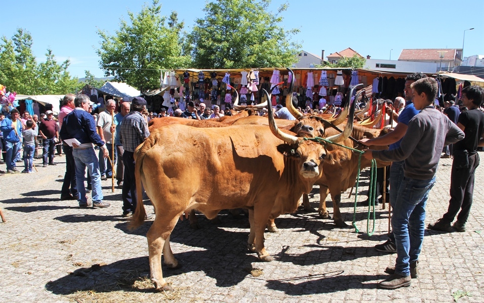 Montalegre | "Feira do Prémio" 2017