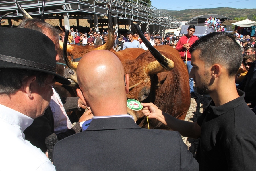 Montalegre | "Feira do Prémio" 2017