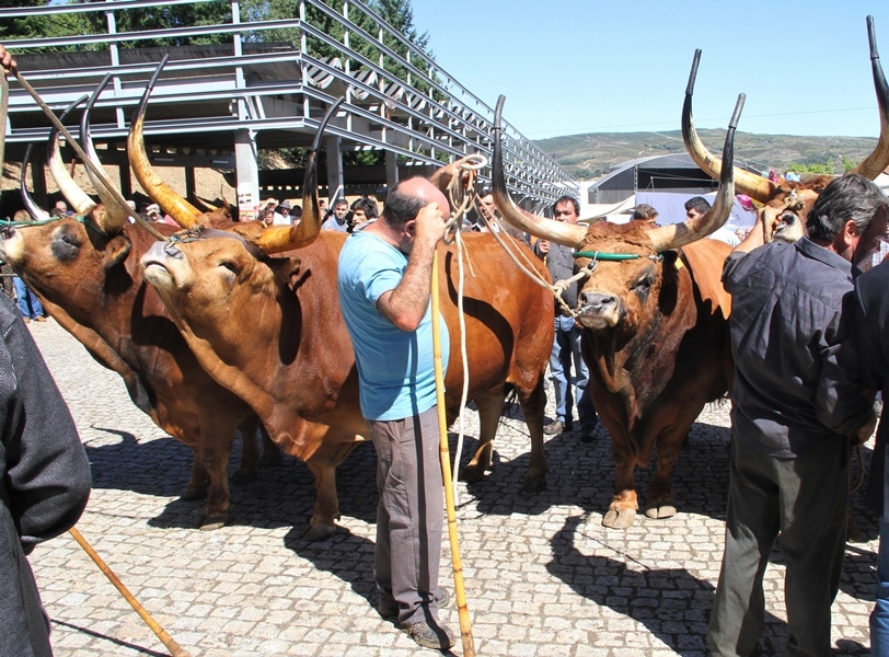 Montalegre | "Feira do Prémio" 2017