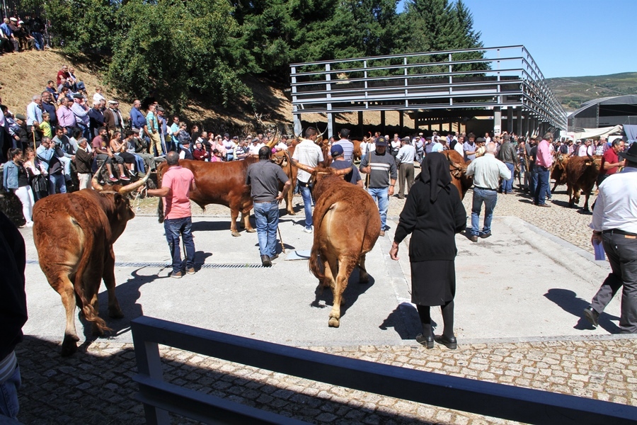Montalegre | "Feira do Prémio" 2017