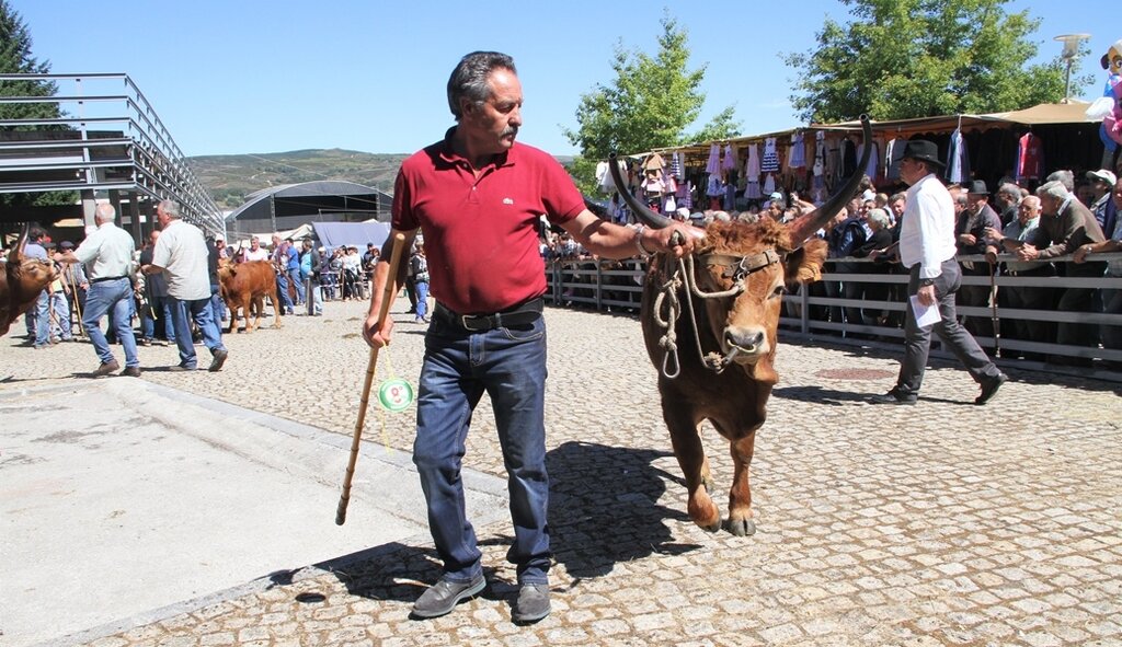 Montalegre | "Feira do Prémio" 2017