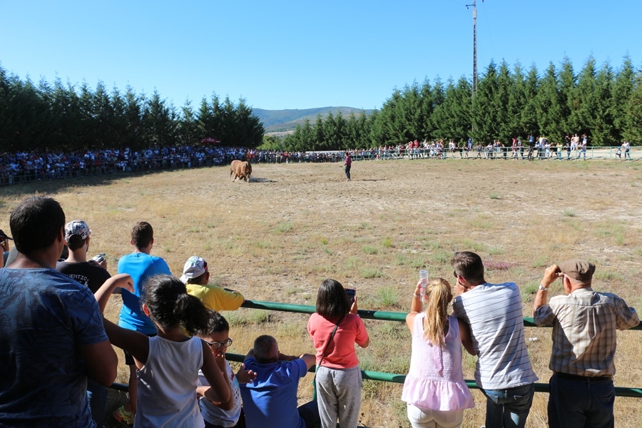 Torneio de Chegas de Bois 2017 (FINAL)