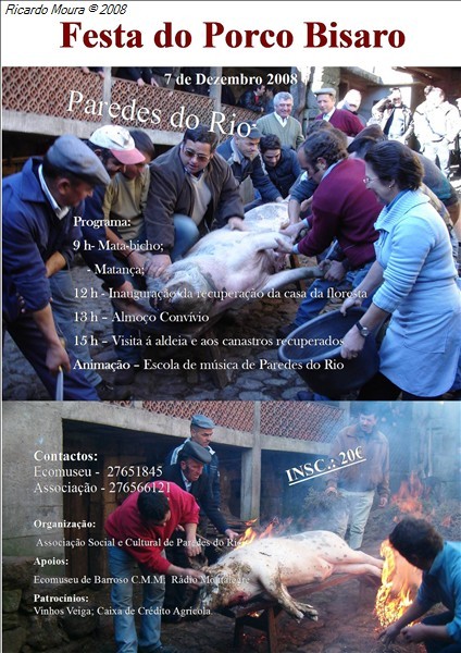 Porco bísaro em festa