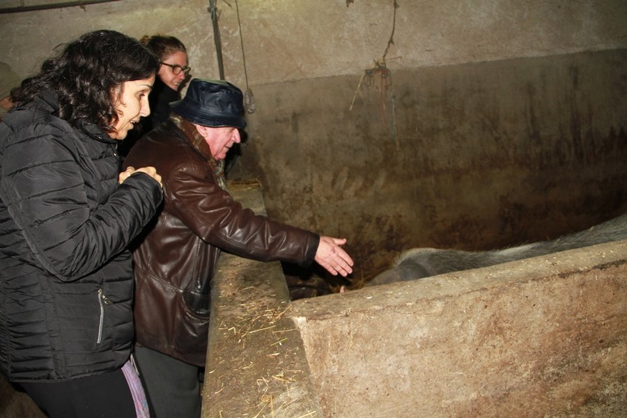 MONTALEGRE - Visita FAO (Fev. 2018)