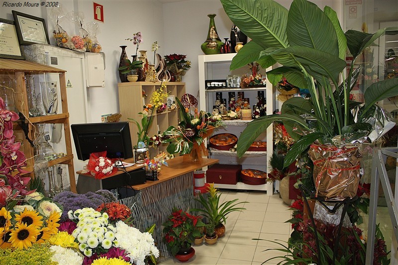 Ecomarché de Montalegre inaugurado