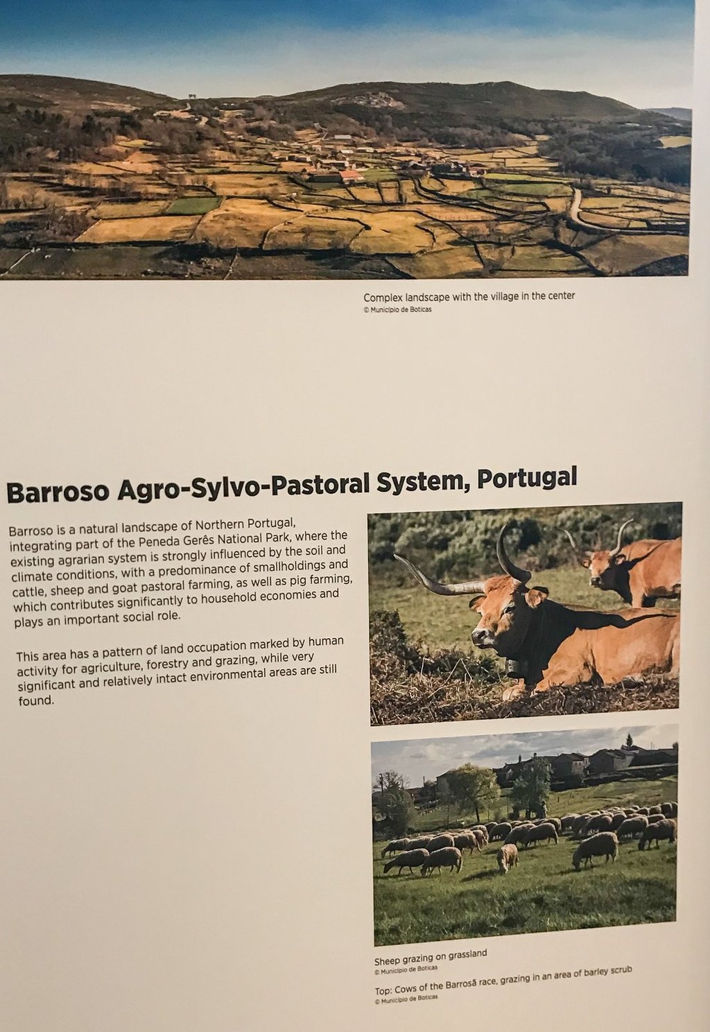 Barroso - Património Agrícola Mundial | Cerimónia de certificação