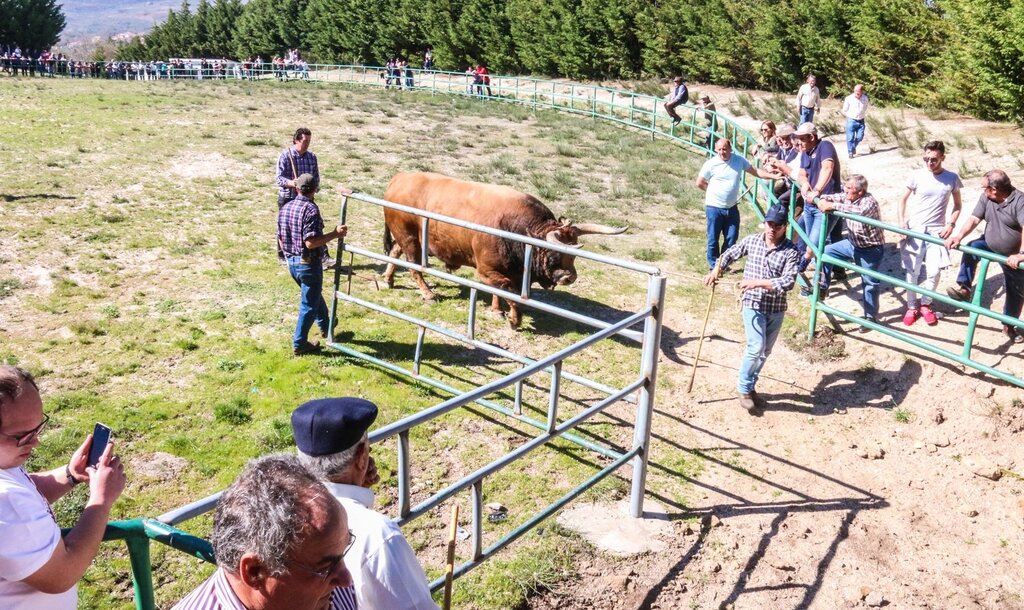 Montalegre (Torneio de Chegas de Bois 2018)