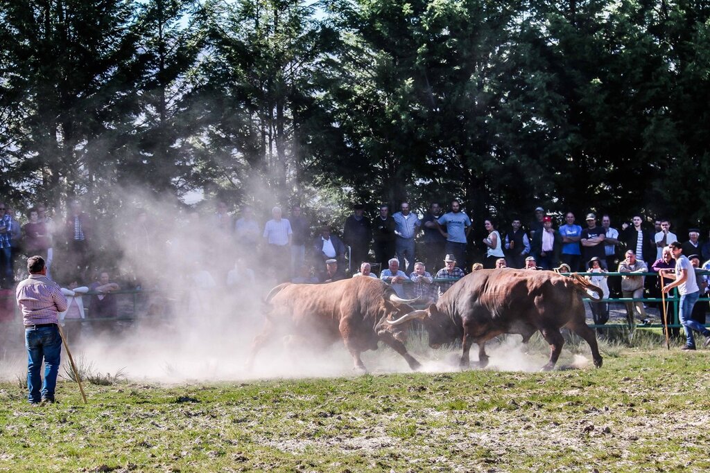 Montalegre (Torneio de Chegas de Bois 2018)