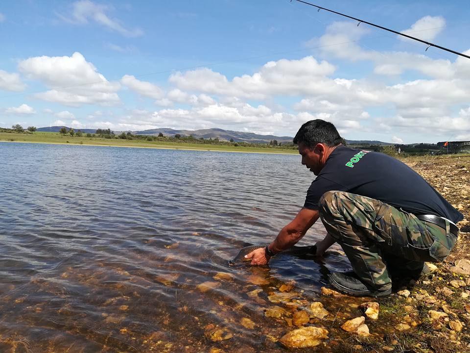 MONTALEGRE - IV Pisões Carp Classic