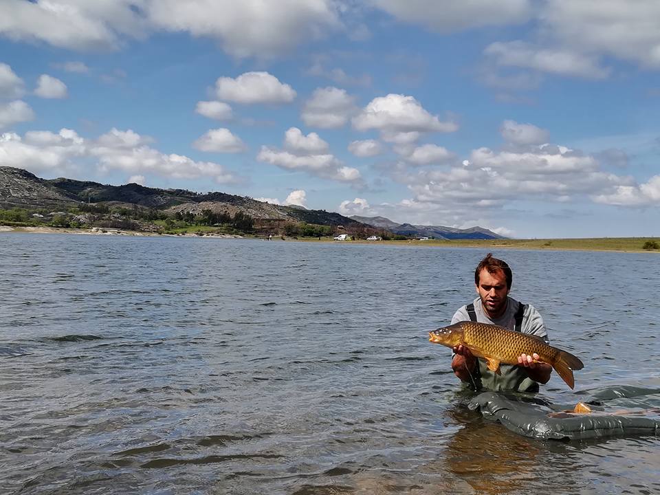 MONTALEGRE - IV Pisões Carp Classic