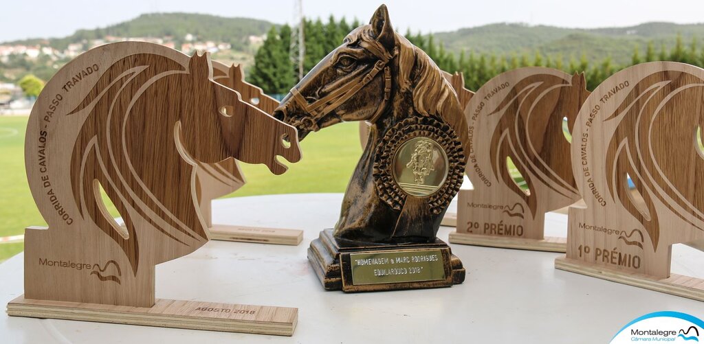 montalegre___corrida_de_cavalos_2018__6_