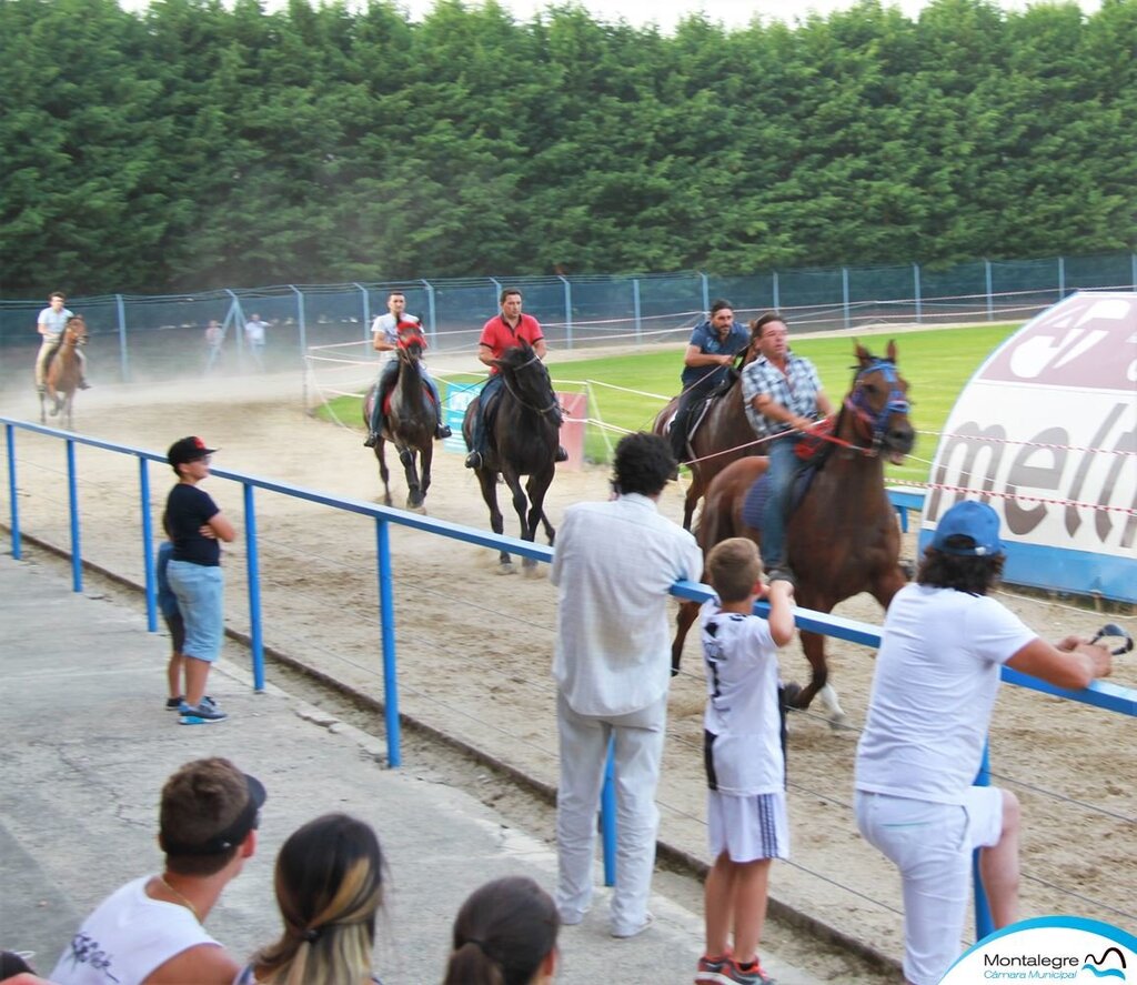 montalegre___corrida_de_cavalos_2018__24_