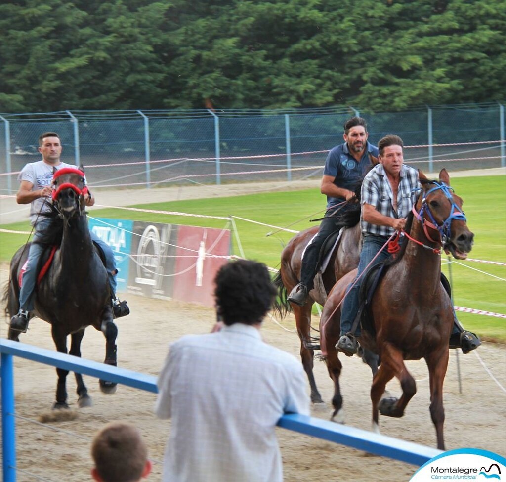 montalegre___corrida_de_cavalos_2018__26_