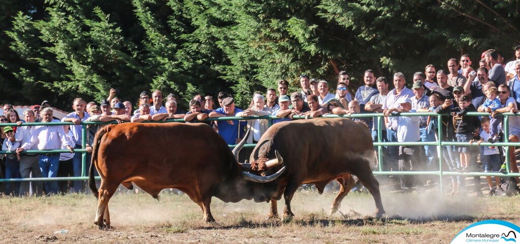 Torneio Chegas de Bois 2018 (Final) (9)