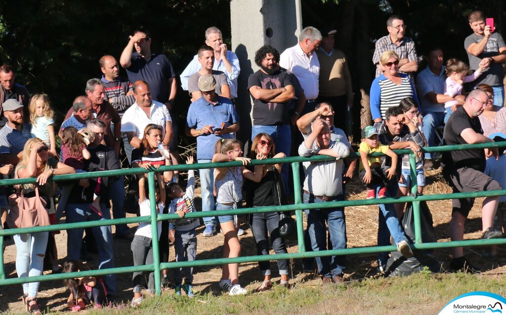 Torneio Chegas de Bois 2018 (Final) (14)