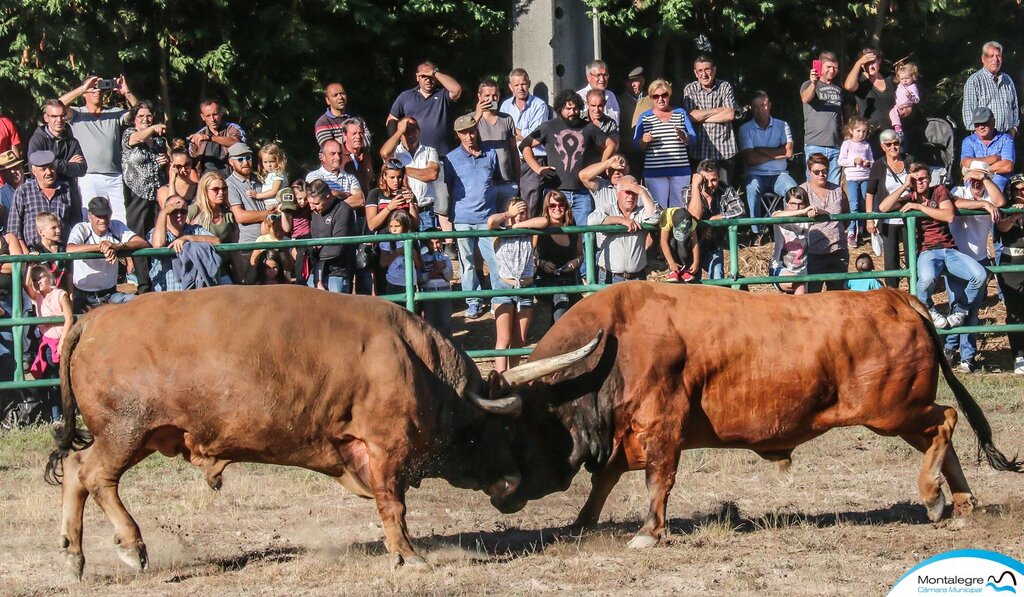 Torneio Chegas de Bois 2018 (Final) (16)