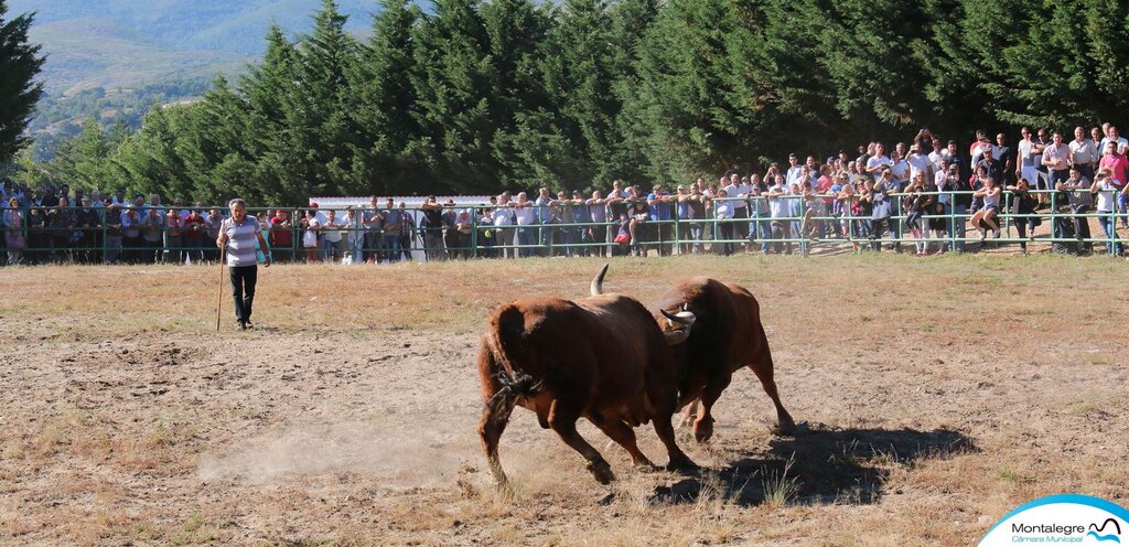 Torneio Chegas de Bois 2018 (3 e 4 lugares) (1)